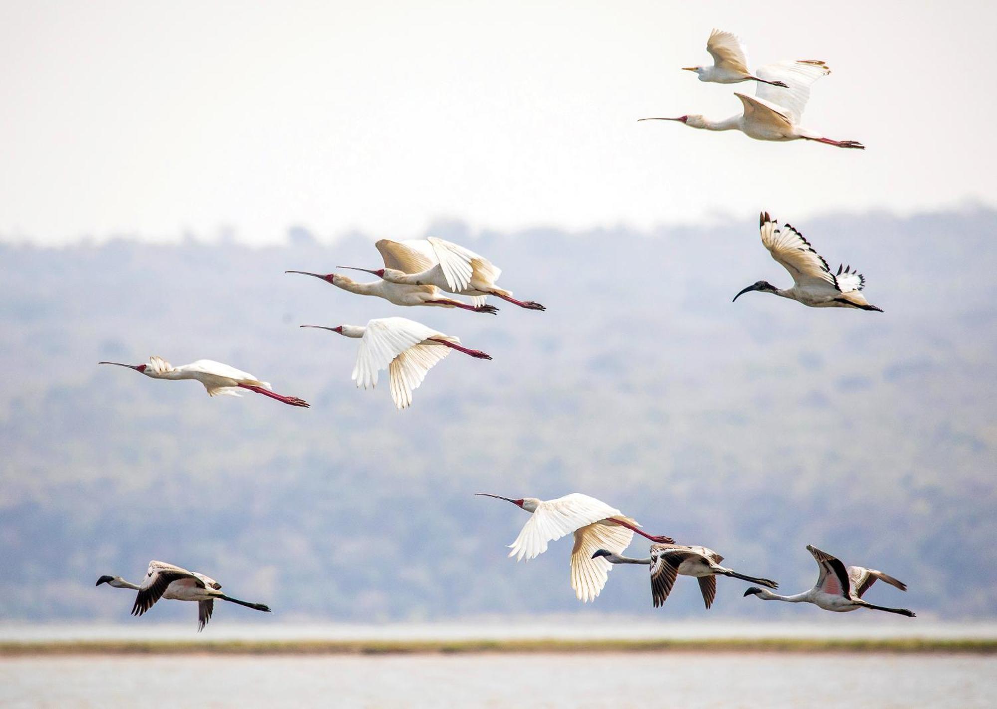 Nibela Lake Lodge By Dream Resorts Hluhluwe Ngoại thất bức ảnh
