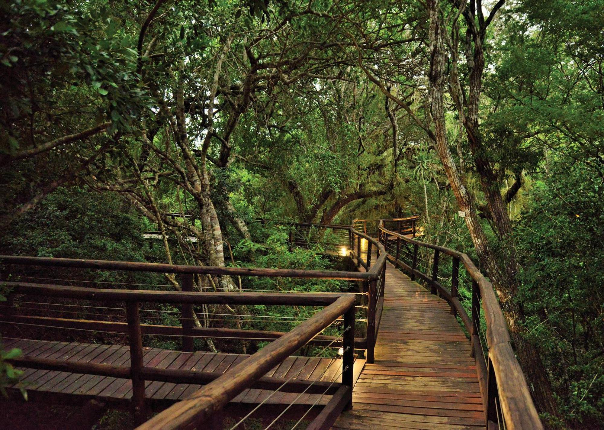 Nibela Lake Lodge By Dream Resorts Hluhluwe Ngoại thất bức ảnh